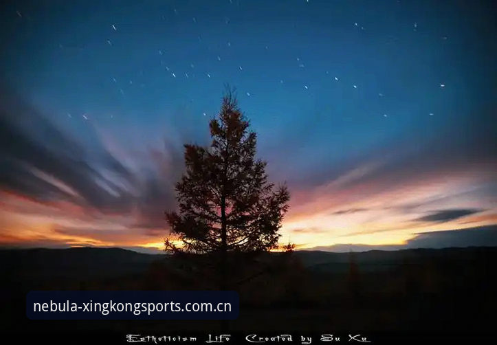揭秘皇家社会后防新援：迪奥戈·莱特转会背后的数据真相与星空体育平台视角